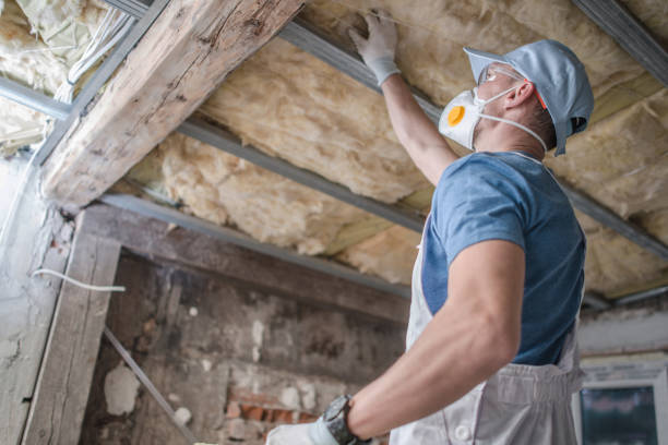 Best Types of Insulation in Alexandria, KY