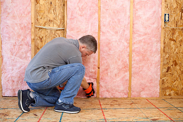 Best Insulation for Specific Applications in Alexandria, KY