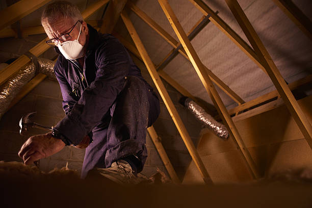 Best Specialty Insulation in Alexandria, KY